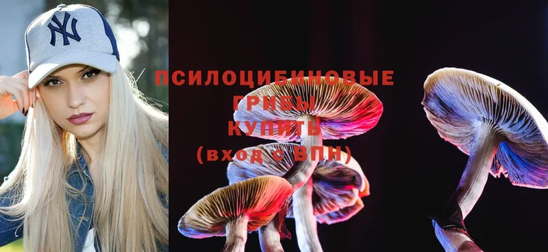 дарк нет телеграм  Кизел  Галлюциногенные грибы Magic Shrooms 